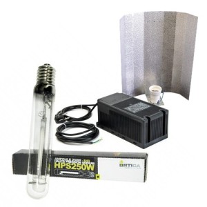 20000248000001_ampoule-hps-250w-ortica_kit